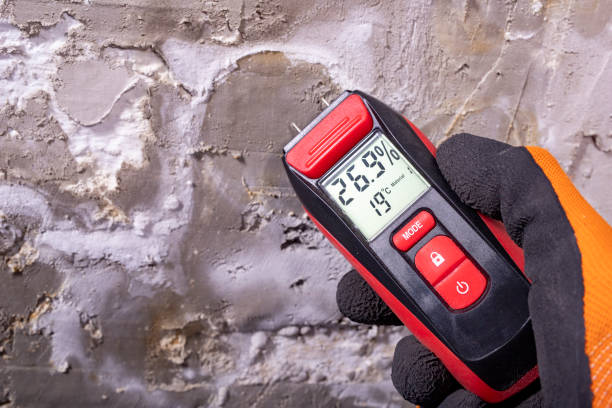 Best Office Mold Removal Services  in Hartshorne, OK
